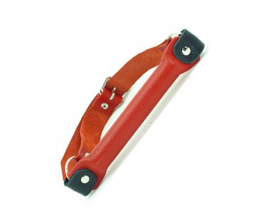 Кляп-трензель BDSM Арсенал, Красный, фото 