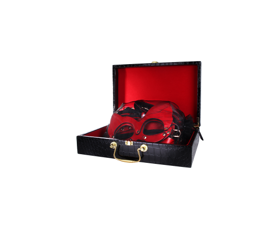 БДСМ-набор «Страстное подчинение», Красный, фото 