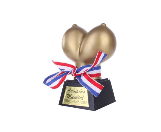 Награда "BOOBS", фото 