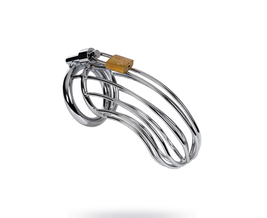 Пояс Верности TOYFA Metal Мужской С Клеткой, Серебристый, фото 