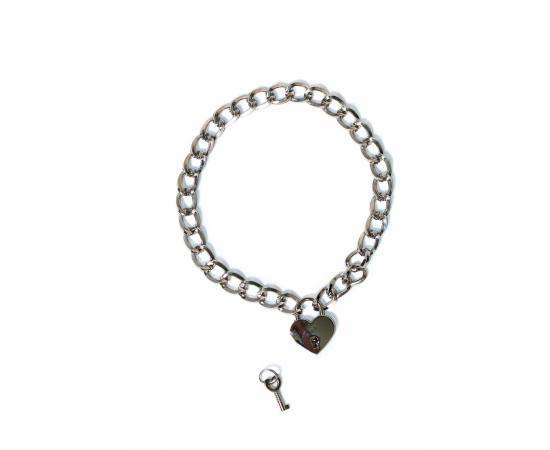 Ошейник Party Hard Embrace, Серебряный, фото 