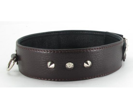 Ошейник С Маленькими Шипами LOVEBUTIK, XL, Коричневый, фото  Ошейник С Маленькими Шипами LOVEBUTIK, XL, Коричневый, фото
